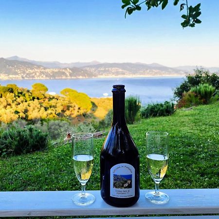 Agriturismo Terre Rosse Portofino Villa Dış mekan fotoğraf