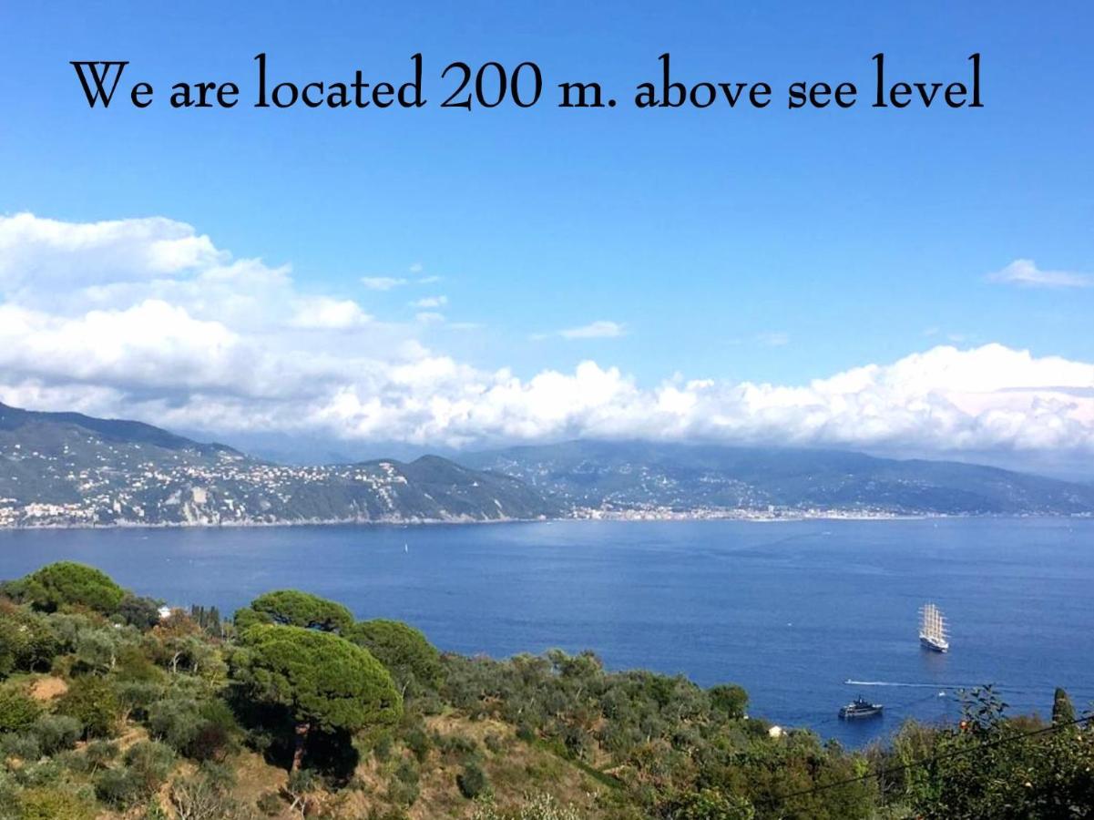 Agriturismo Terre Rosse Portofino Villa Dış mekan fotoğraf