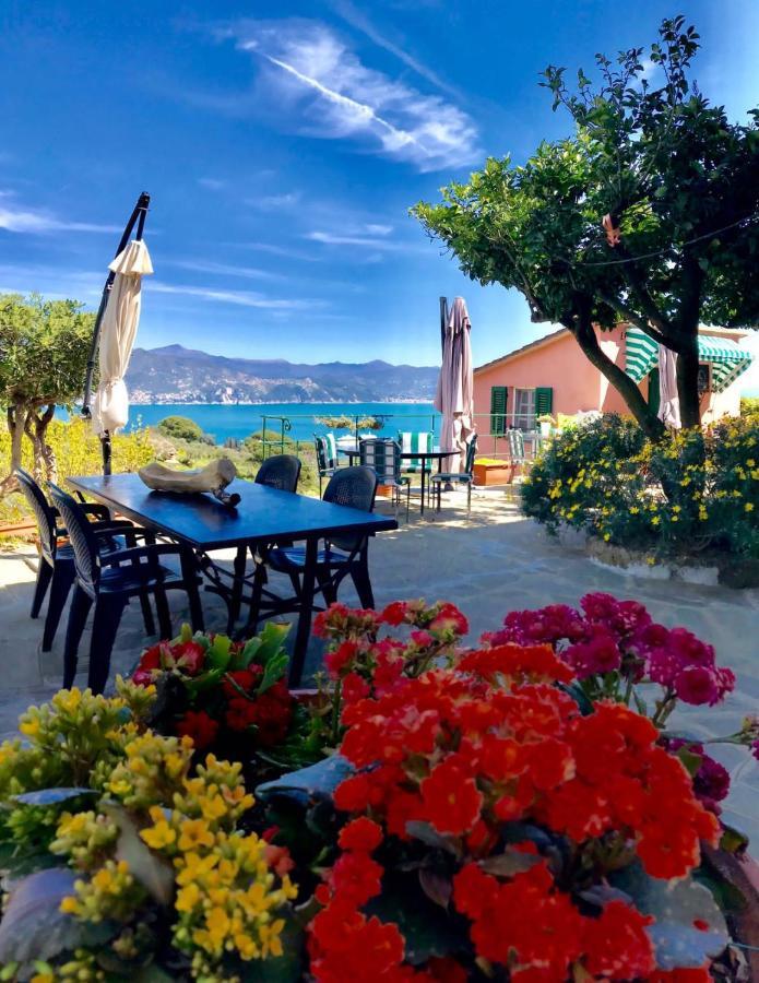 Agriturismo Terre Rosse Portofino Villa Dış mekan fotoğraf