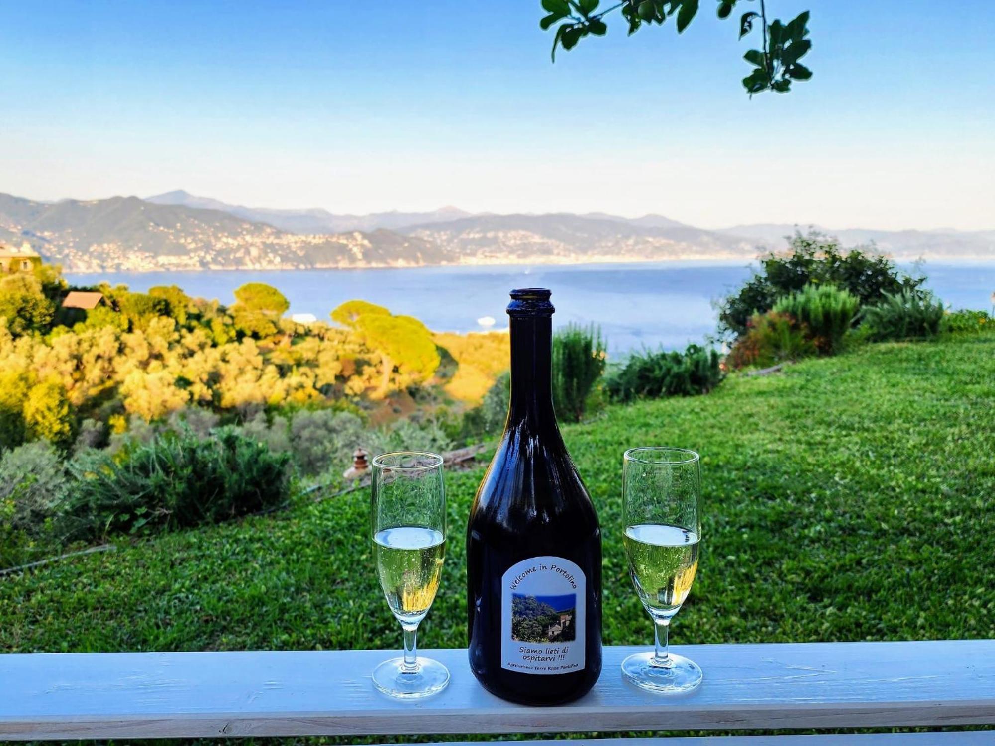 Agriturismo Terre Rosse Portofino Villa Dış mekan fotoğraf